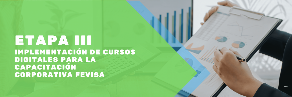 ETAPA III Implementación de Cursos Digitales para la Capacitación Virtual Corporativa FEVISA